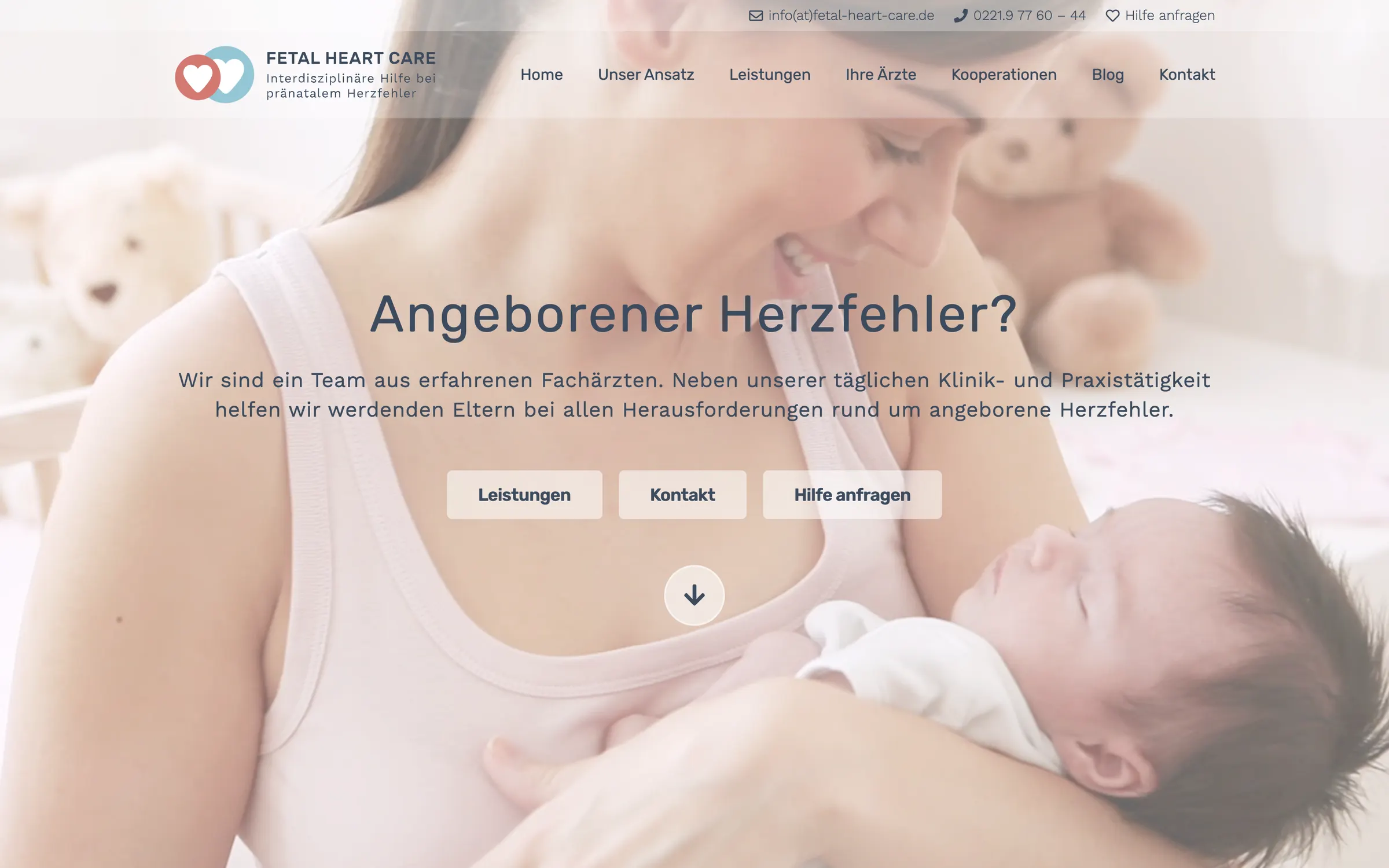Betreuung fetal-heart-care.de — Startseite · Desktop