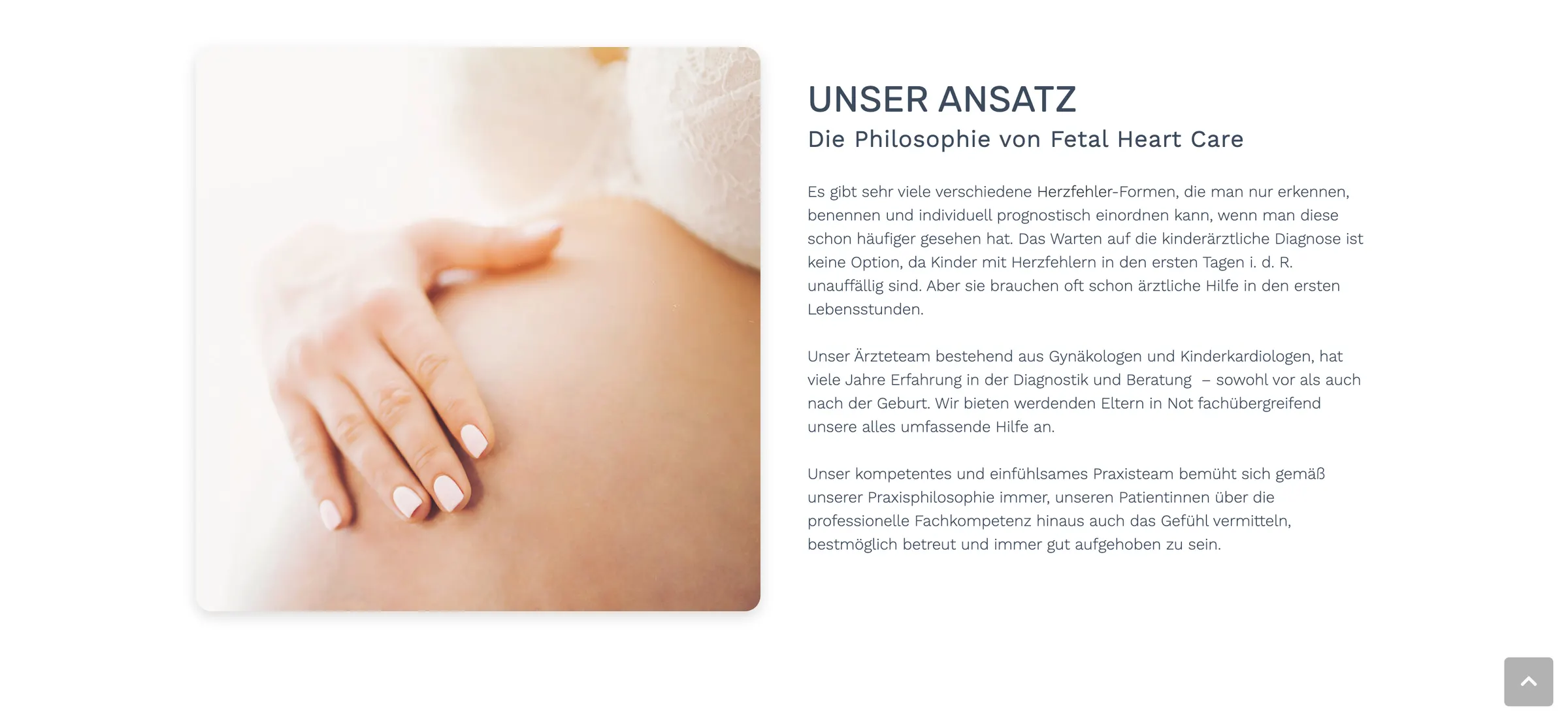 fetal-heart-care.de bakımı — bölüm 3