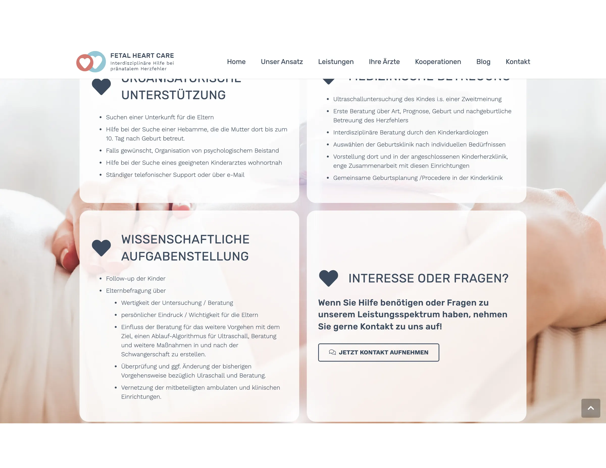 fetal-heart-care.de bakımı — bölüm 4