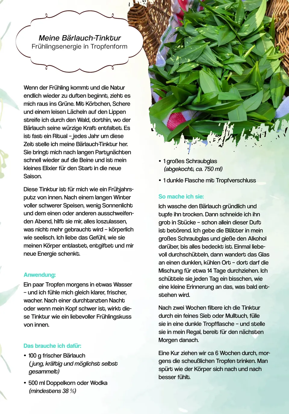 Sue's Kitchen yemek kitabı — görsel 3